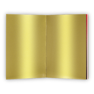 wordless book 8100descriptiona