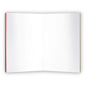 wordless book 8100descriptiond